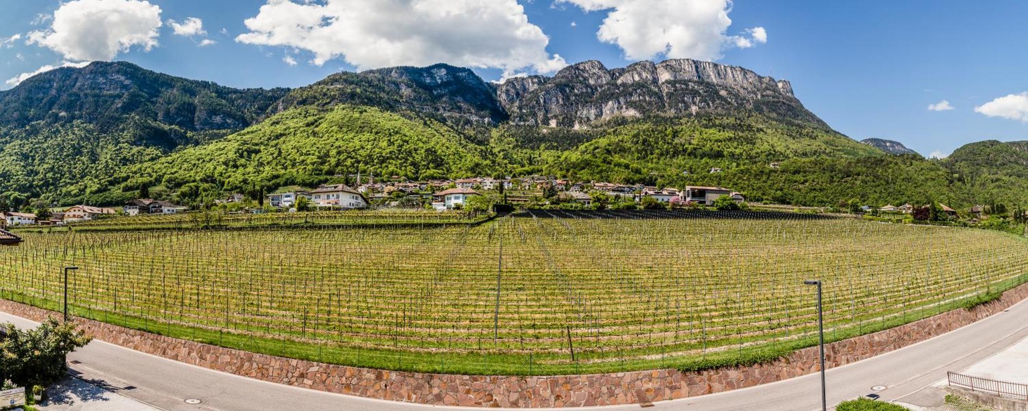 Das Panorama Dependance Caldaro sulla Strada del Vino Exterior foto
